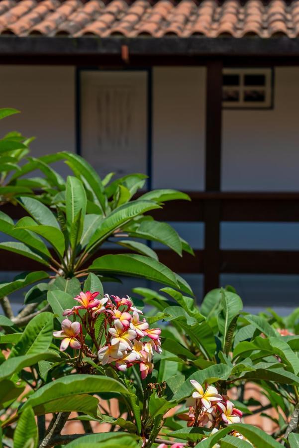Villa Alexandre Pousada - トランコーゾ エクステリア 写真