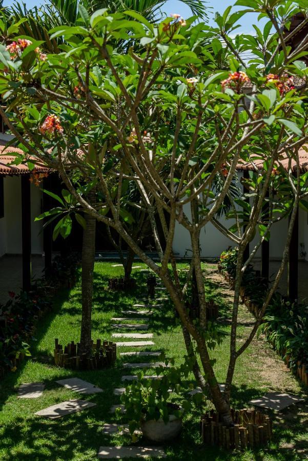 Villa Alexandre Pousada - トランコーゾ エクステリア 写真